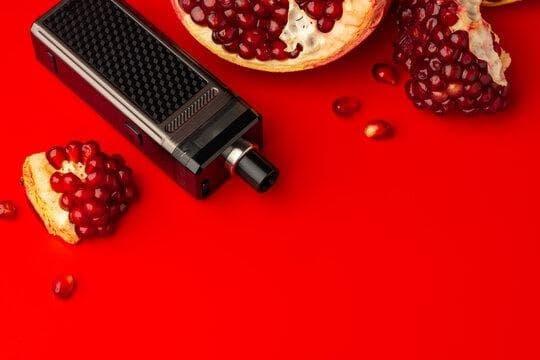 Gdzie oglądać đá gà thomo trực tiếp hôm nay i jak wybrać smok mini v2 do najlepszych transmisji online Gdzie oglądać đá gà thomo trực tiếp hôm nay i jak wybrać smok mini v2 do najlepszych transmisji online